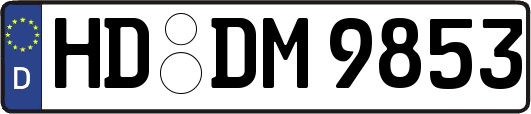 HD-DM9853