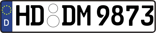 HD-DM9873