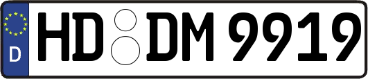 HD-DM9919
