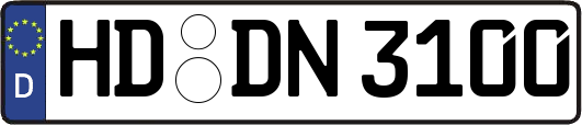 HD-DN3100