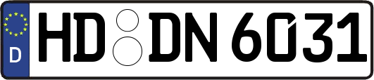 HD-DN6031