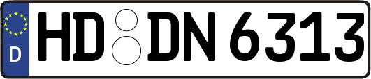 HD-DN6313