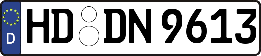 HD-DN9613