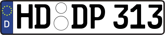 HD-DP313