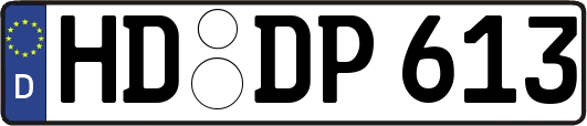 HD-DP613
