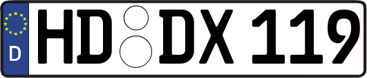 HD-DX119