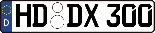 HD-DX300