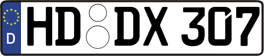 HD-DX307