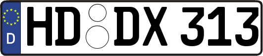 HD-DX313