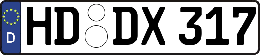 HD-DX317