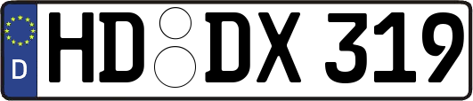 HD-DX319