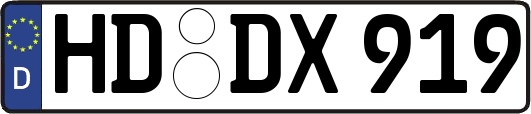 HD-DX919