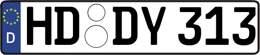 HD-DY313