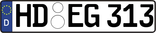 HD-EG313