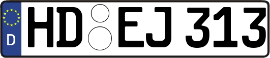 HD-EJ313