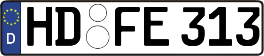 HD-FE313