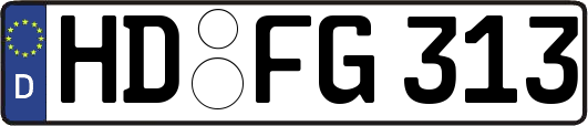 HD-FG313