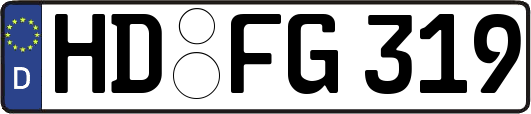 HD-FG319