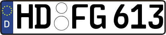 HD-FG613