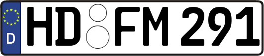 HD-FM291