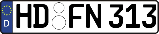 HD-FN313