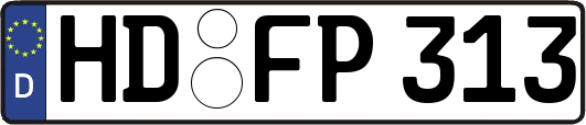 HD-FP313
