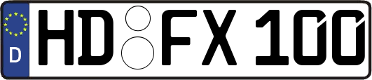 HD-FX100