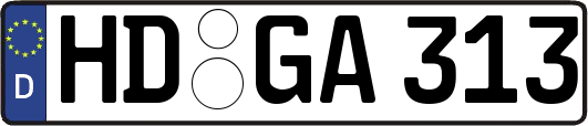 HD-GA313