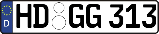 HD-GG313
