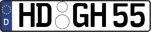 HD-GH55