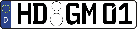HD-GM01