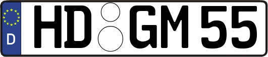 HD-GM55