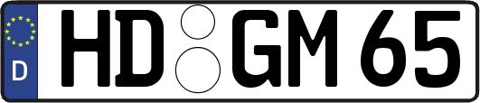 HD-GM65