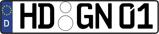 HD-GN01