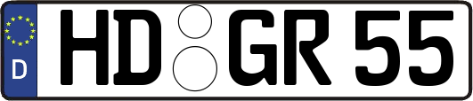 HD-GR55