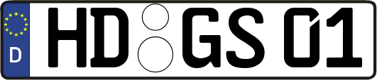 HD-GS01