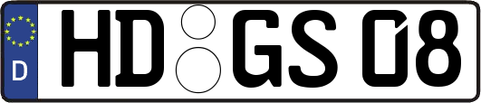 HD-GS08