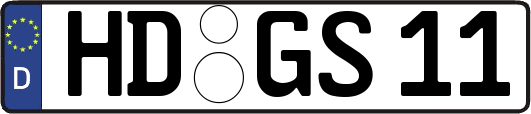 HD-GS11