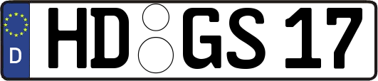 HD-GS17