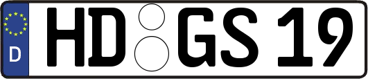 HD-GS19