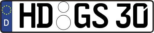 HD-GS30