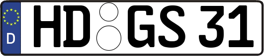 HD-GS31