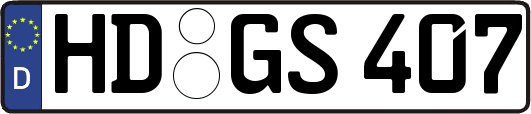 HD-GS407