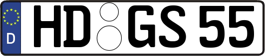 HD-GS55