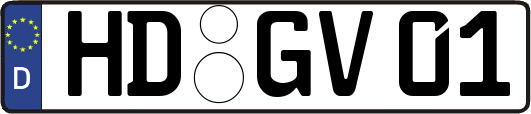 HD-GV01