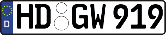 HD-GW919