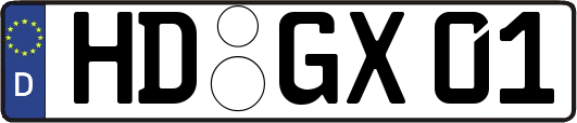 HD-GX01