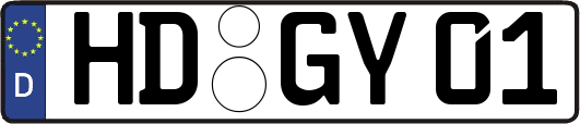 HD-GY01