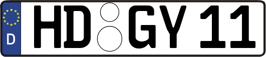 HD-GY11