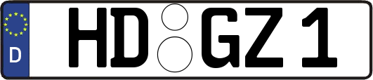 HD-GZ1